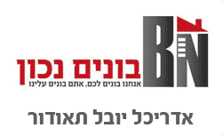 יובל תאודור